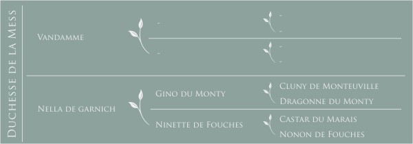 Duchesse de la Mess